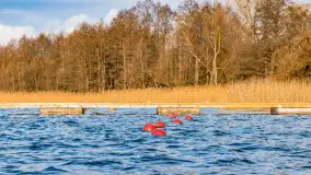 Zima już bez śniegu w Trygorcie, końcówka 2022 roku - zdjęcie 16