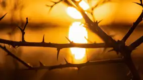 Grudniowy zachód słońca nad jeziorem Łabap - zdjęcie 19