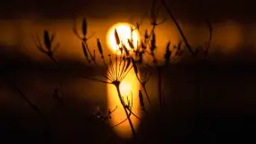 Grudniowy zachód słońca nad jeziorem Łabap - zdjęcie 16