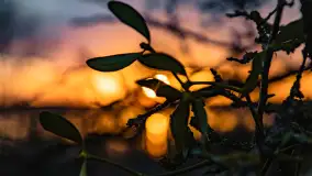 Grudniowy zachód słońca nad jeziorem Łabap - zdjęcie 11