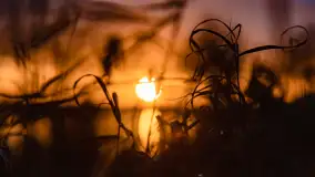 Grudniowy zachód słońca nad jeziorem Łabap - zdjęcie 2