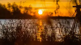 Wschód słońca nad jeziorem Śniardwy, Krzywy Róg - zdjęcie 12