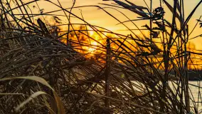 Wschód słońca nad jeziorem Śniardwy, Krzywy Róg - zdjęcie 31