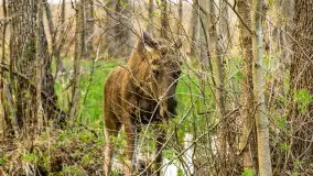 Wiosenny mix ujęć, kwiecień - czerwiec 2022 r. - zdjęcie 3