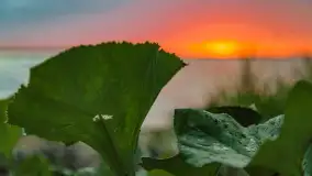 Wiosenny mix ujęć, kwiecień - czerwiec 2022 r. - zdjęcie 72