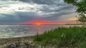 Wiosenny mix ujęć, kwiecień - czerwiec 2022 r. - zdjęcie 98