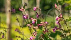 Wiosenny mix ujęć, kwiecień - czerwiec 2022 r. - zdjęcie 74