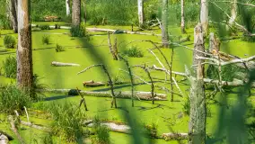 Wiosenny mix ujęć, kwiecień - czerwiec 2022 r. - zdjęcie 80