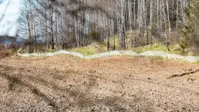 Trochę wiosny, trochę zimy... - zdjęcie 16