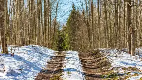 Trochę wiosny, trochę zimy... - zdjęcie 22