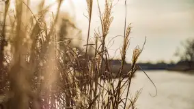 Zimowy poranek w Piszu nad Pisą, styczeń 2023 - zdjęcie 18