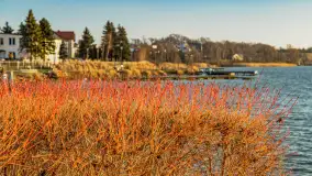 Zachód słońca w Rynie, jezioro Ryńskie, styczeń 2023 - zdjęcie 24