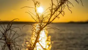 Zachód słońca w Rynie, jezioro Ryńskie, styczeń 2023 - zdjęcie 10