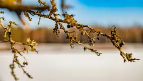 Rzeka Dajna i okolice, luty 2023 - zdjęcie 36