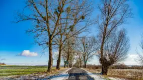 Rzeka Dajna i okolice, luty 2023 - zdjęcie 64