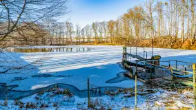 Rzeka Dajna i okolice, luty 2023 - zdjęcie 9