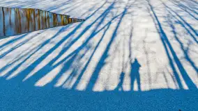 Rzeka Dajna i okolice, luty 2023 - zdjęcie 56