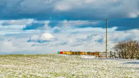 Rzeka Dajna i okolice, luty 2023 - zdjęcie 81