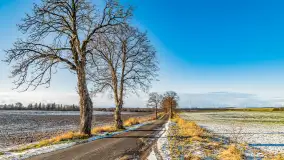 Rzeka Dajna i okolice, luty 2023 - zdjęcie 83