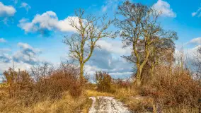 Rzeka Dajna i okolice, luty 2023 - zdjęcie 87