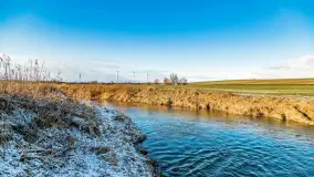 Rzeka Dajna i okolice, luty 2023 - zdjęcie 58