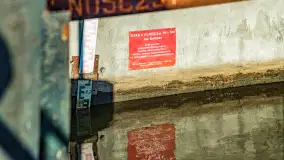 Rzeka Dajna i okolice, luty 2023 - zdjęcie 67