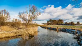 Rzeka Dajna i okolice, luty 2023 - zdjęcie 84