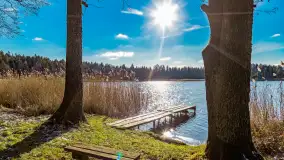 Zatoka Mrówcza, jezioro Ryńskie, luty 2023 - zdjęcie 23