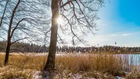 Zatoka Mrówcza, jezioro Ryńskie, luty 2023 - zdjęcie 3