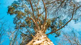 Zatoka Mrówcza, jezioro Ryńskie, luty 2023 - zdjęcie 25