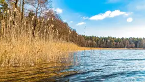 Zatoka Mrówcza, jezioro Ryńskie, luty 2023 - zdjęcie 28