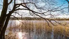 Zatoka Mrówcza, jezioro Ryńskie, luty 2023 - zdjęcie 31