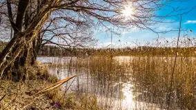 Zatoka Mrówcza, jezioro Ryńskie, luty 2023 - zdjęcie 40