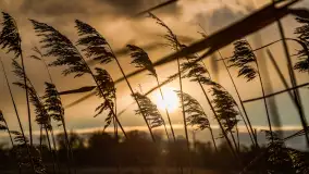 Zachód słońca w okolicy rzeki Guber, luty 2023 - zdjęcie 5