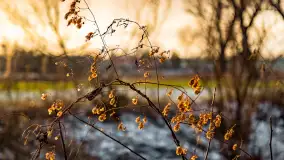 Zachód słońca w okolicy rzeki Guber, luty 2023 - zdjęcie 10