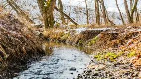 Spacer po lesie kętrzyńskim, górka poznańska i rzeka Guber - zdjęcie 19