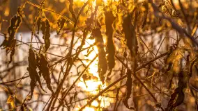 Zachód słońca nad jeziorem Ryńskim - zdjęcie 5