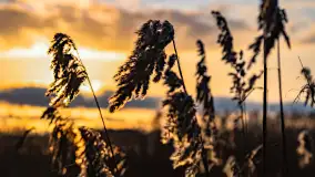 Zachód słońca nad jeziorem Mój, luty 2023 r. - zdjęcie 7