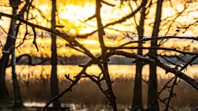 Zachód słońca nad jeziorem Mój, luty 2023 r. - zdjęcie 28