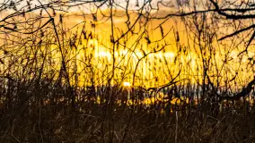 Zachód słońca nad jeziorem Mój, luty 2023 r. - zdjęcie 32