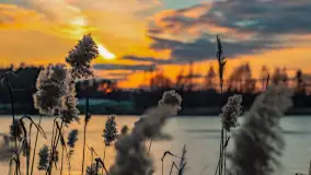 Kolejny zachód nad jeziorem Ryńskim, luty 2023 - zdjęcie 39