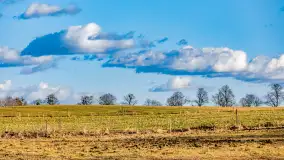 Wczesne przedwiośnie na Mazurach, luty 2023 r. - zdjęcie 5
