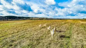 Wczesne przedwiośnie na Mazurach, luty 2023 r. - zdjęcie 34