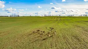 Wczesne przedwiośnie na Mazurach, luty 2023 r. - zdjęcie 3