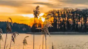 Zachód słońca nad jeziorem Siercze, luty 2023 - zdjęcie 35