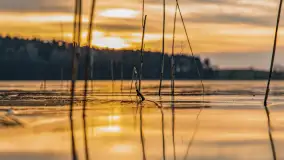 Zachód słońca nad jeziorem Siercze, luty 2023 - zdjęcie 32