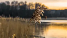Zachód słońca nad jeziorem Siercze, luty 2023 - zdjęcie 22