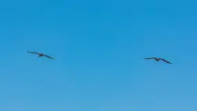 Słonecznie i zimowo przy moście Sztynorckim - zdjęcie 7