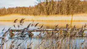 Słonecznie i zimowo przy moście Sztynorckim - zdjęcie 29