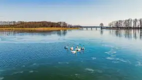 Słonecznie i zimowo przy moście Sztynorckim - zdjęcie 13